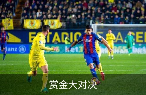 关于赏金大对决